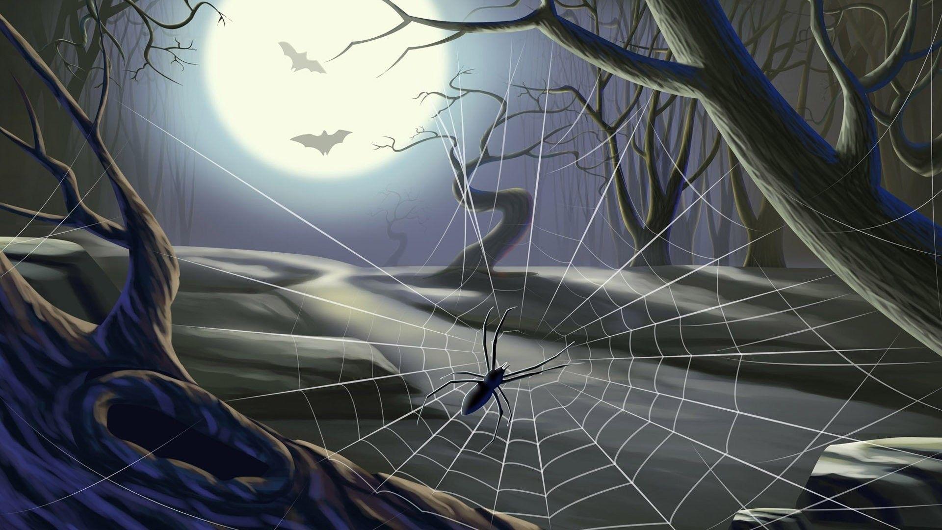 1920x1080 Spider Web Wallpaper
