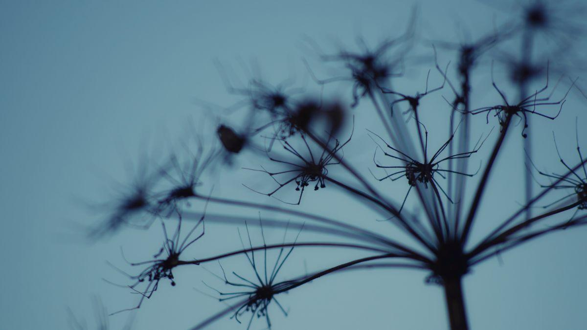 1200x675 Halloween Wallpaper: 30 Awesome Image For Your Desktop