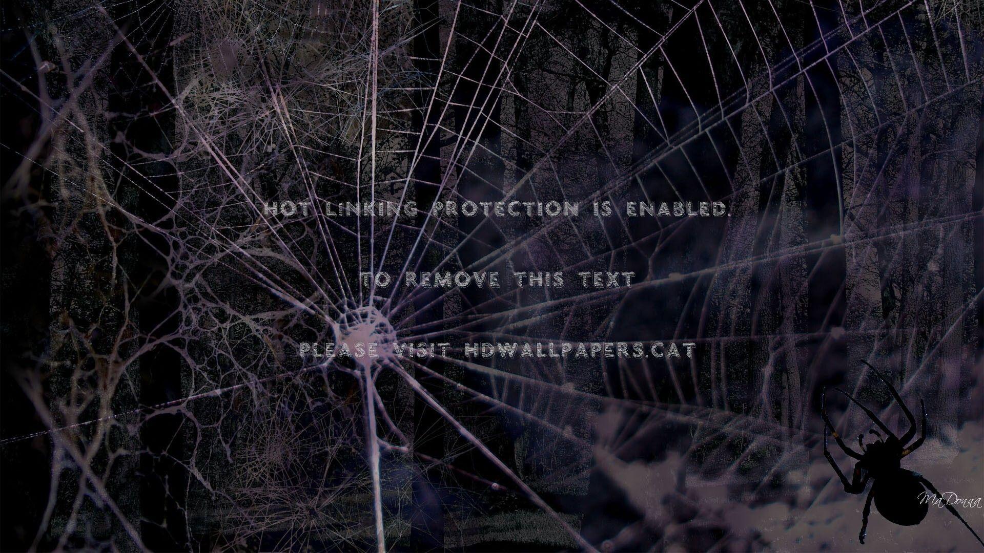 1920x1080 spider black october bug web halloween dark