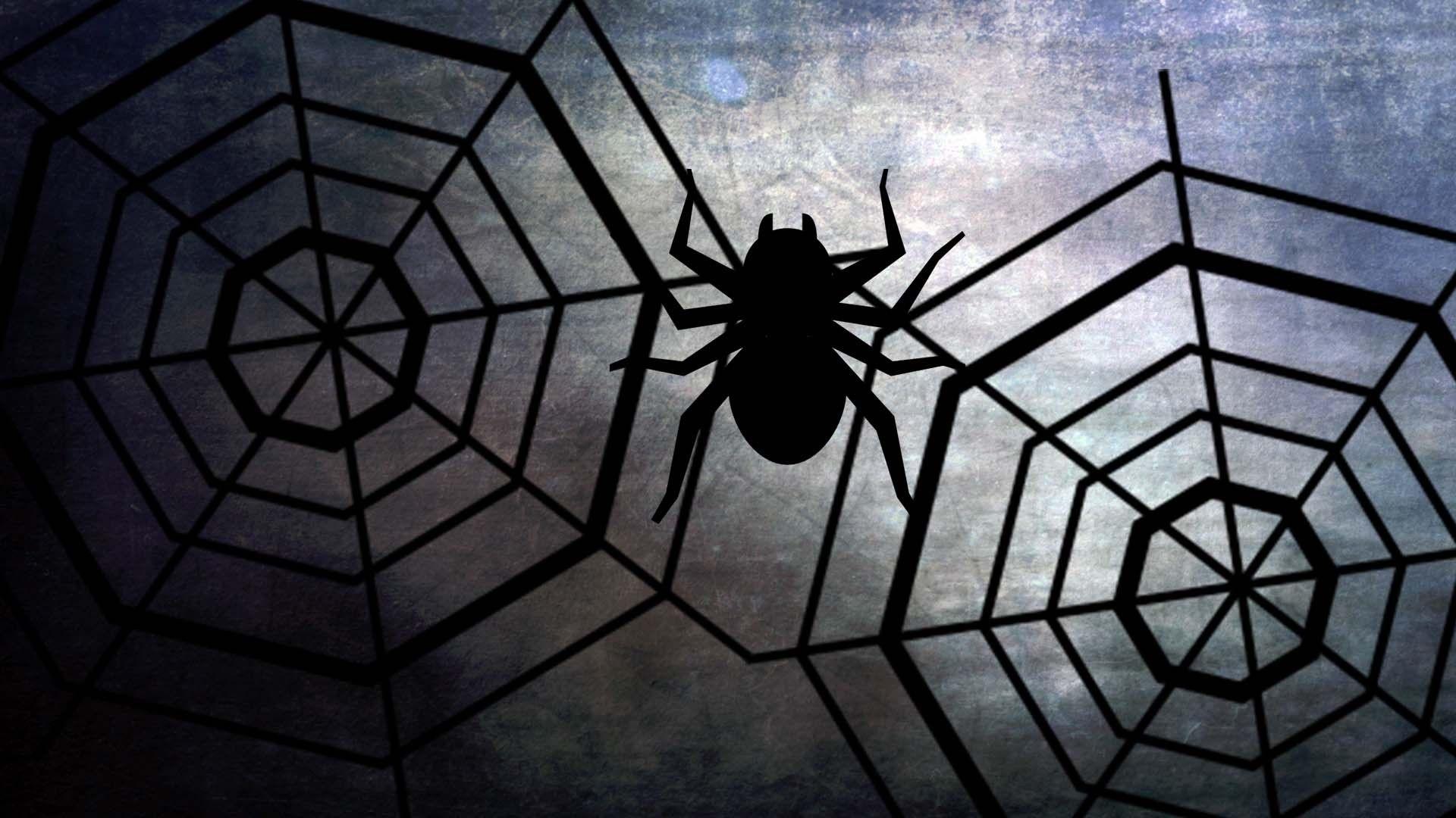 Halloween Spider Wallpapers - Top Free Halloween Spider Backgrounds ...