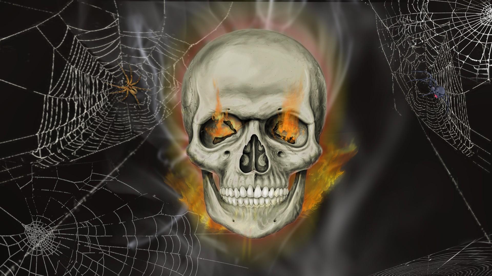 Halloween Spider Wallpapers - Top Free Halloween Spider Backgrounds