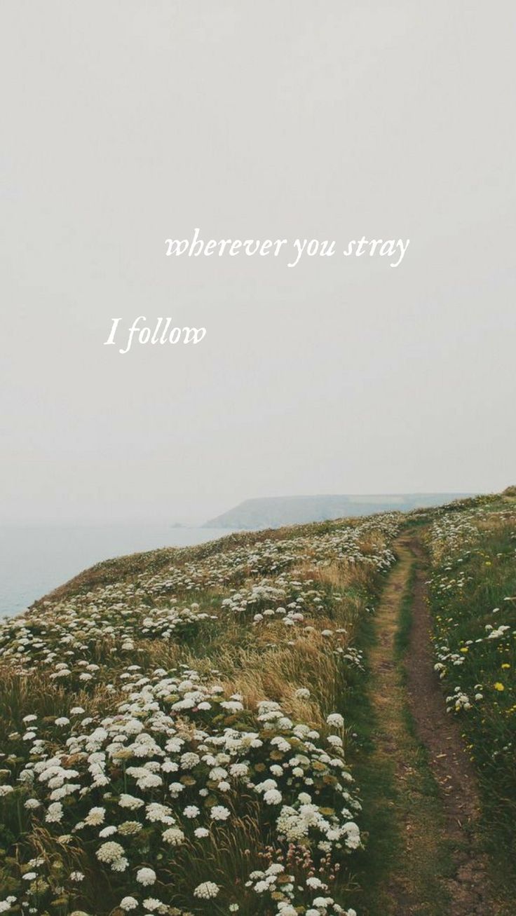 736x1307 Taylor swift wallpaper