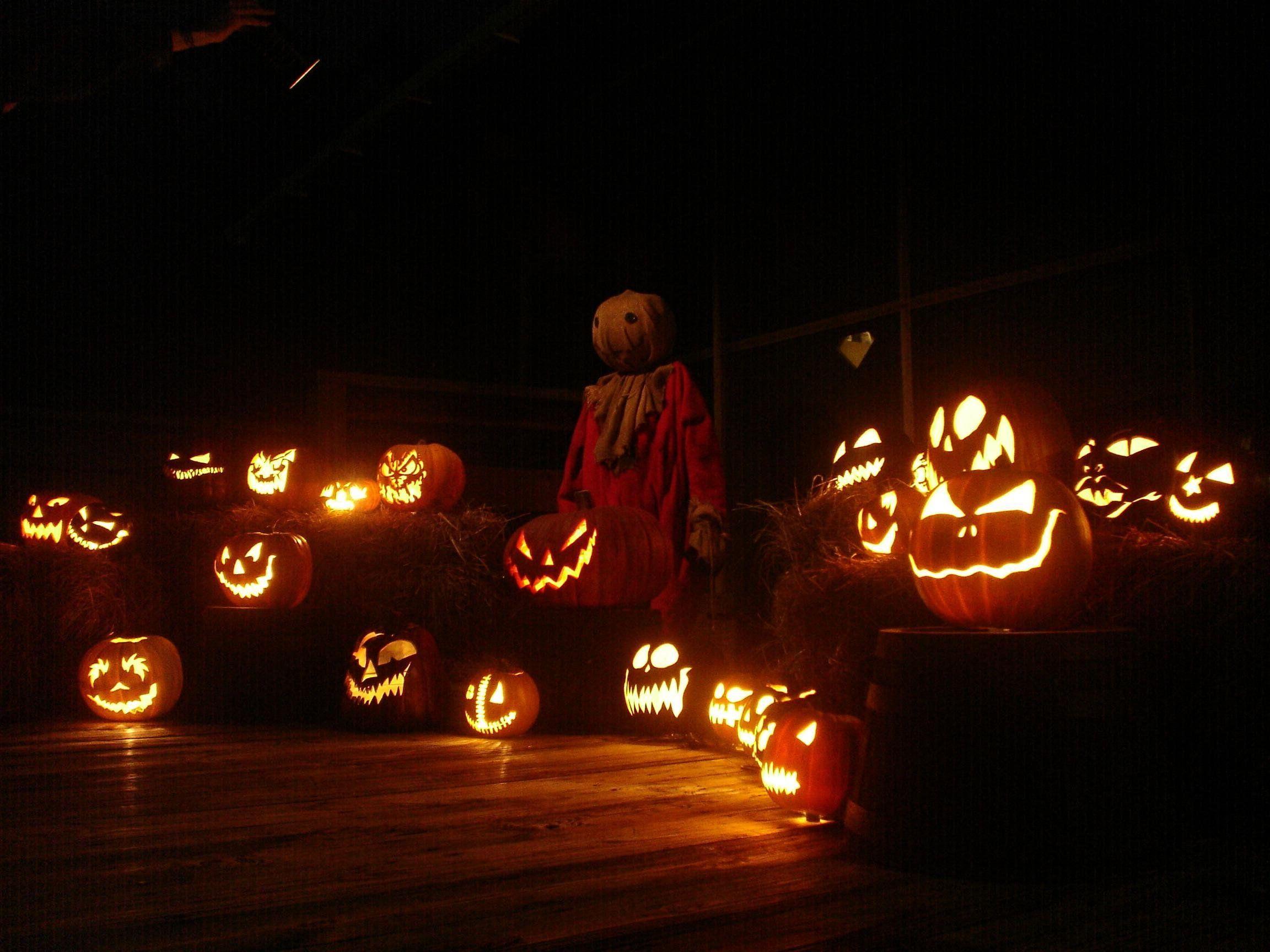 2304x1728 Halloween Trick Or Treat Wallpaper