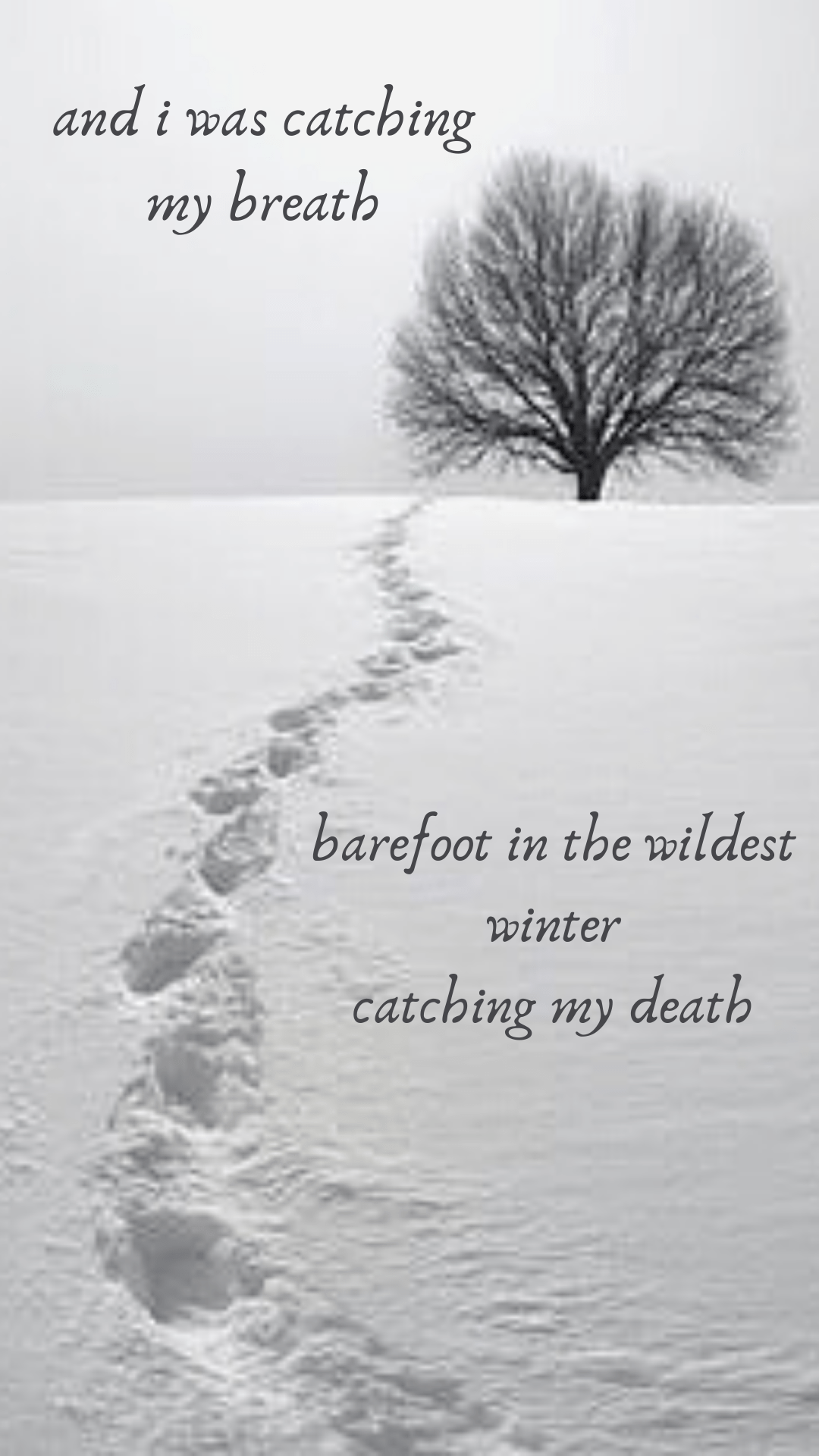 1080x1920 Taylor swift lyrics, Taylor swift songs