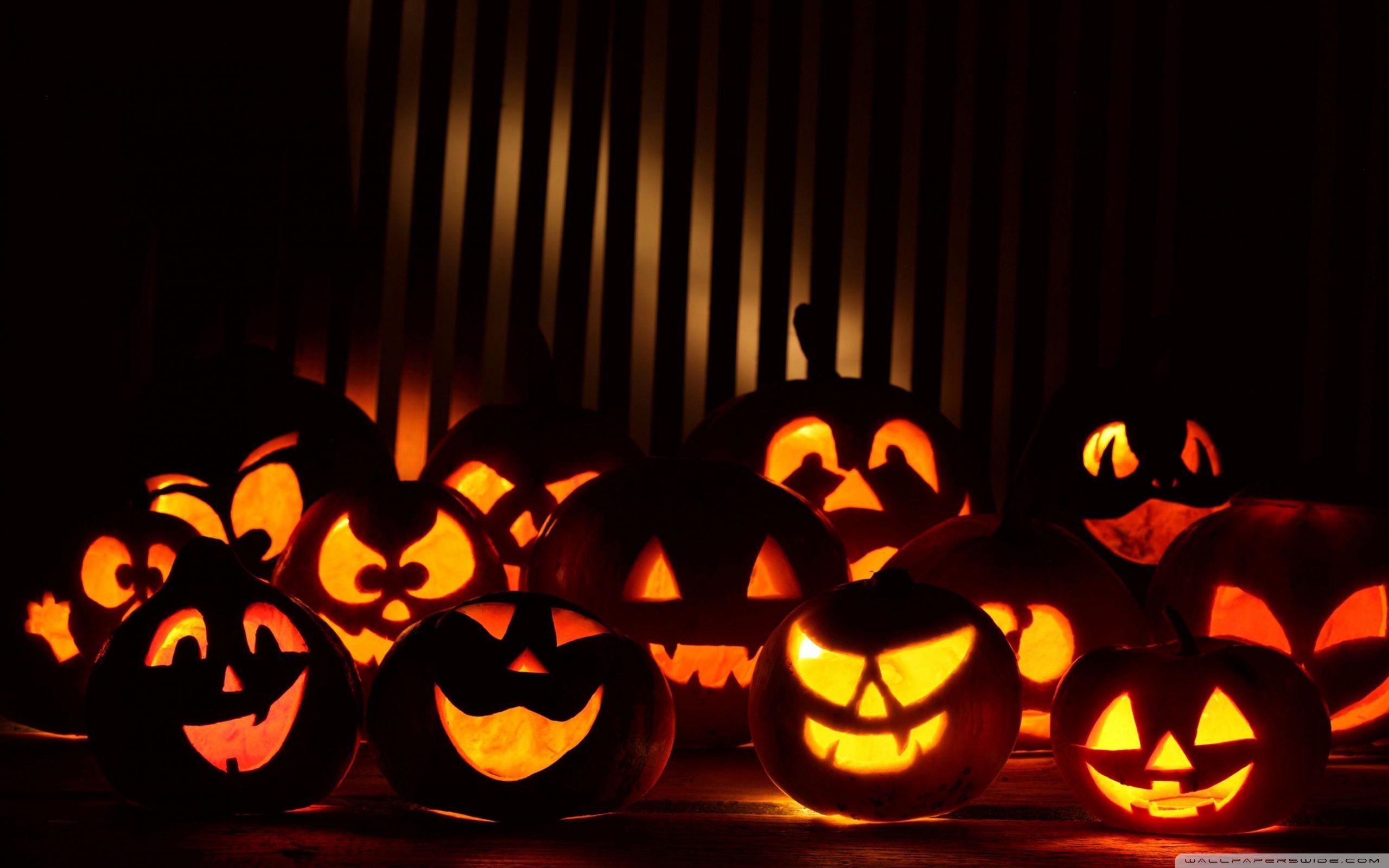 2560x1600 Halloween Picture Live free download 2016 Evil pumpkin