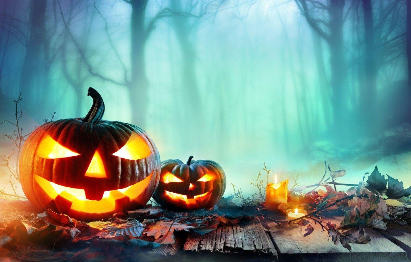 1332x850 Best Halloween thanksgiving green pumpkin Wallpaper 8 +
