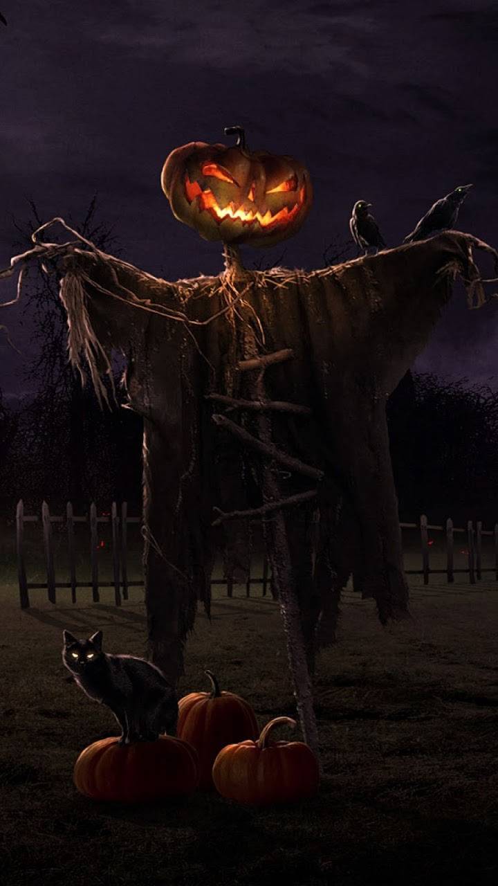 Halloween Scarecrow Wallpapers Top Free Halloween Scarecrow Backgrounds Wallpaperaccess 