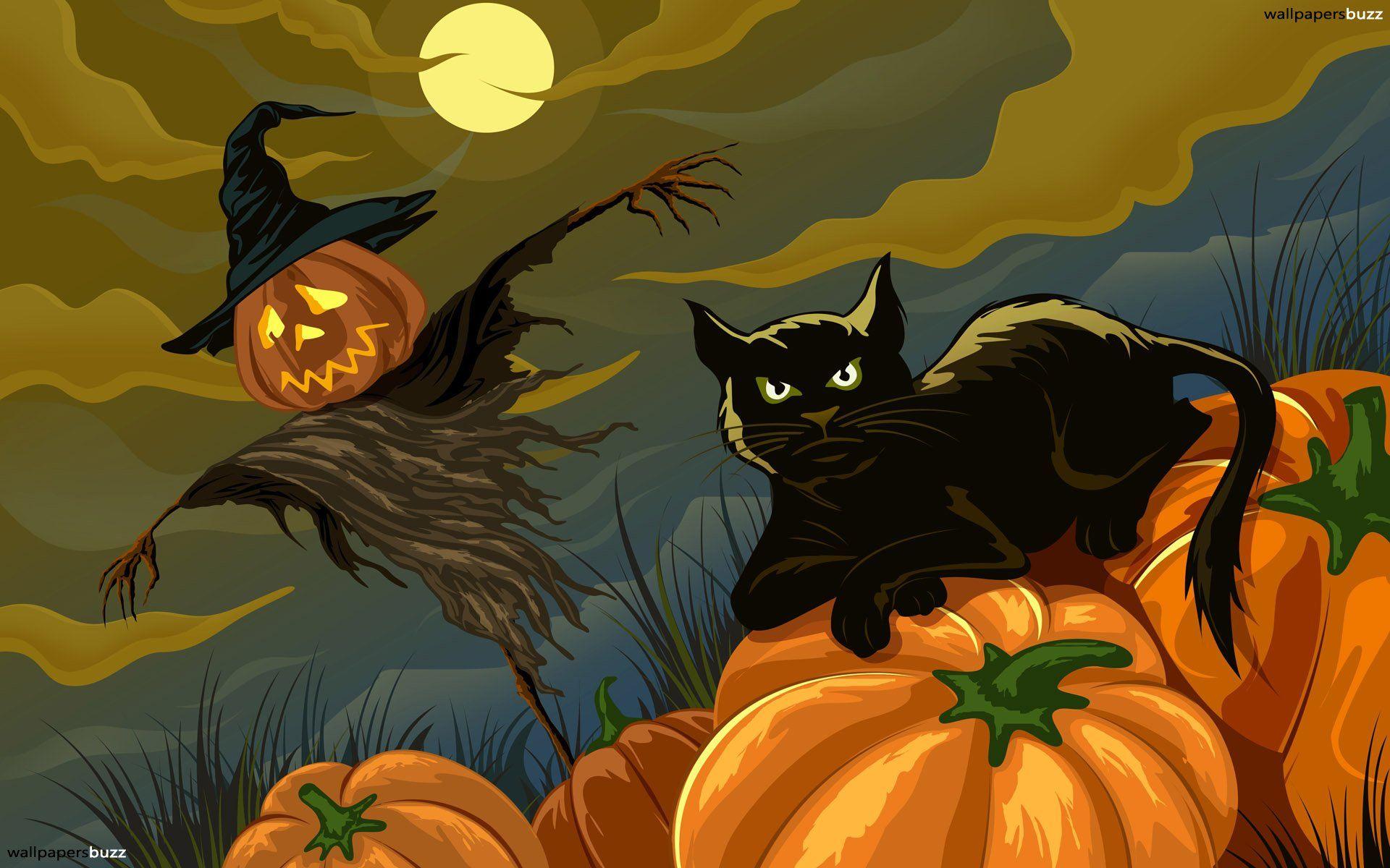 1920x1200 Black Cat and the scarecrow HD Wallpaper
