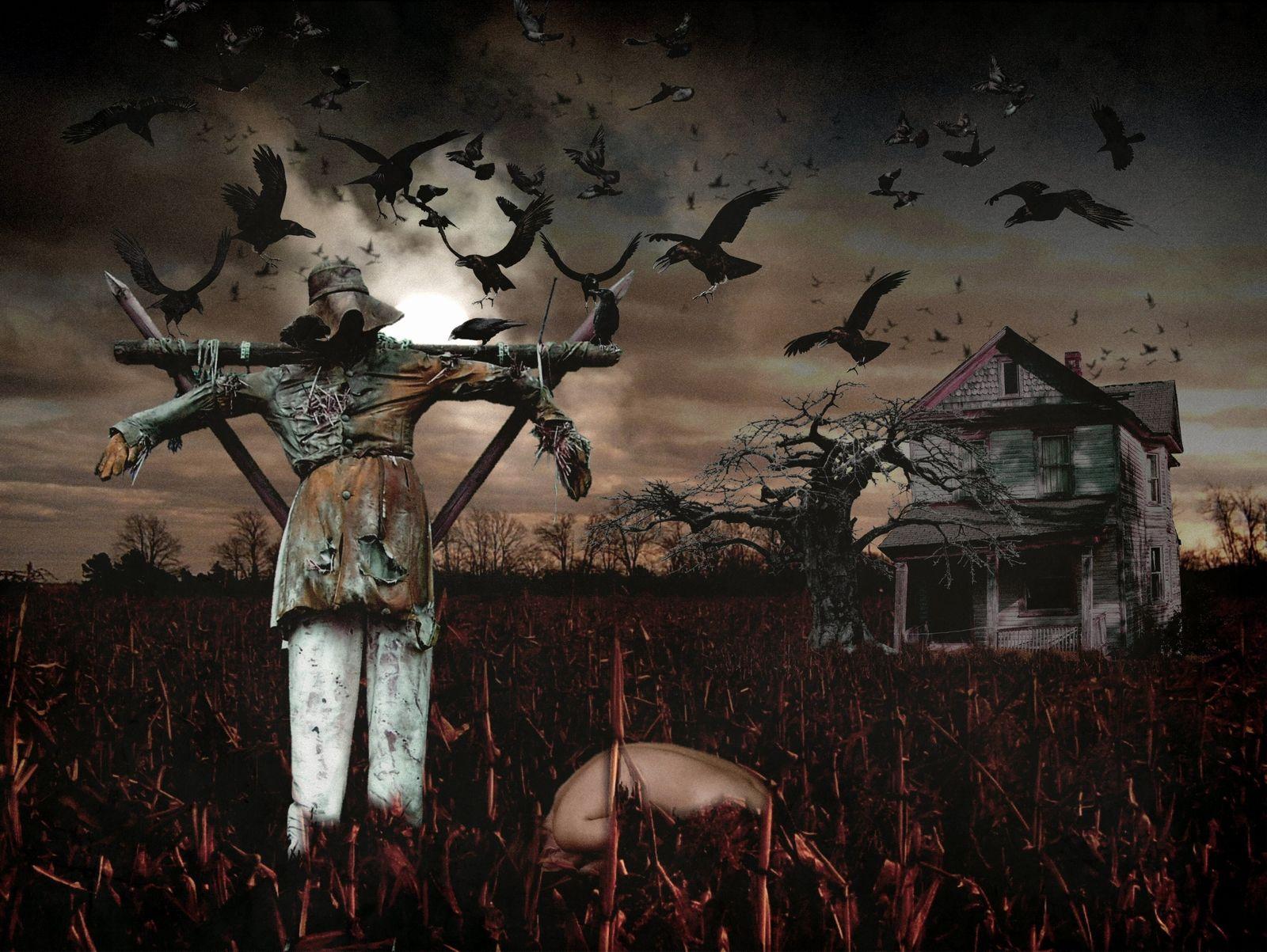 1600x1203 Scarecrow Wallpaper