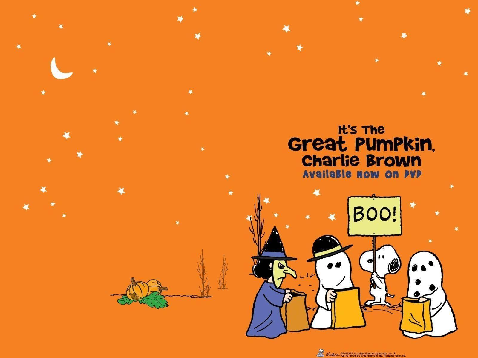 Charlie Brown Halloween Wallpapers - Top Free Charlie Brown Halloween