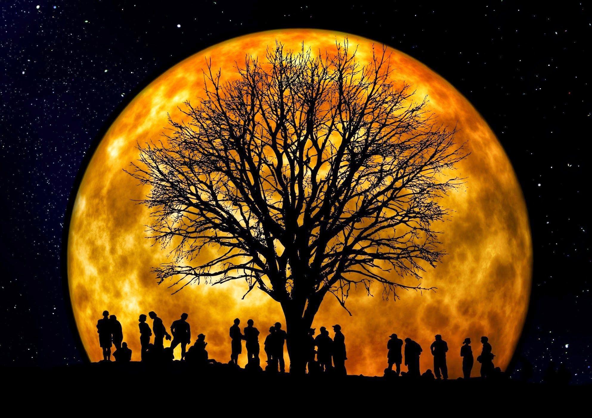 1986x1404 1986x1404 halloween desktop wallpaper HD wallpaper