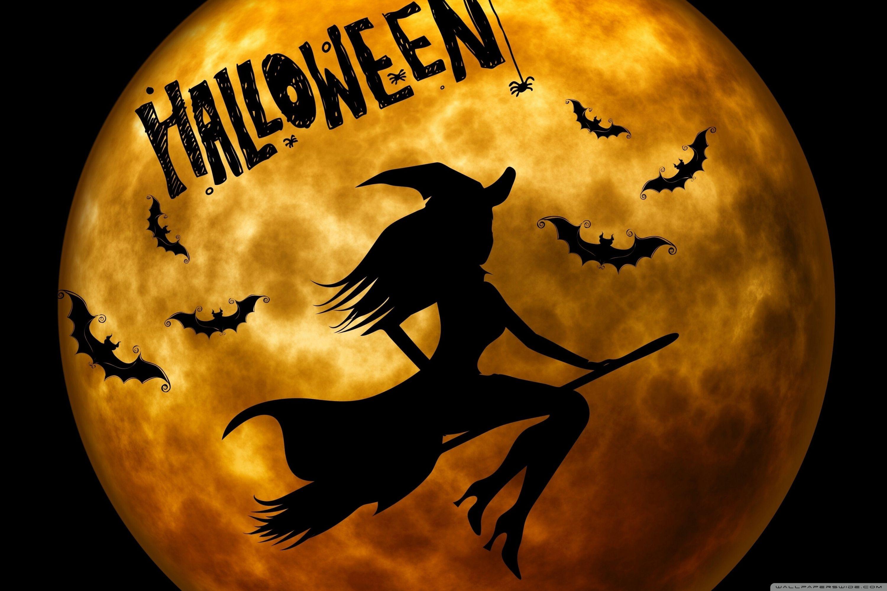 Halloween Witch Wallpapers - bigbeamng