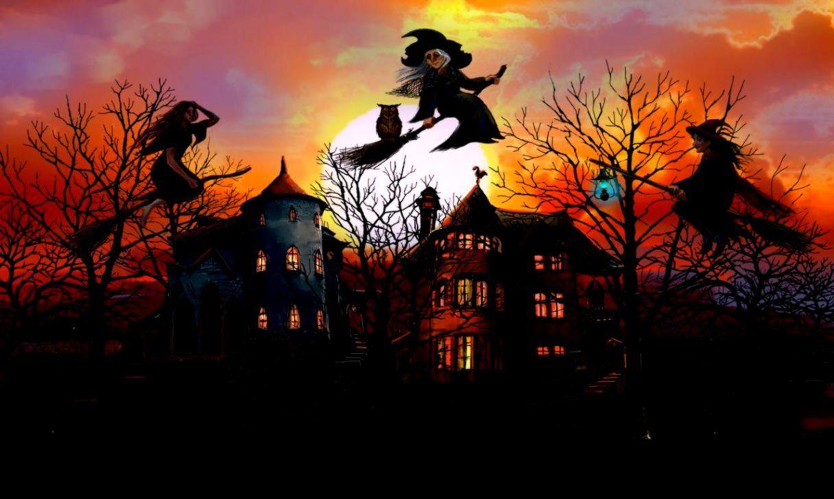 Witch Witch Halloween Witch Halloween Halloween Witch Wallpapers Witch  Background Witch Pictures For Halloween Background Image And Wallpaper for  Free Download