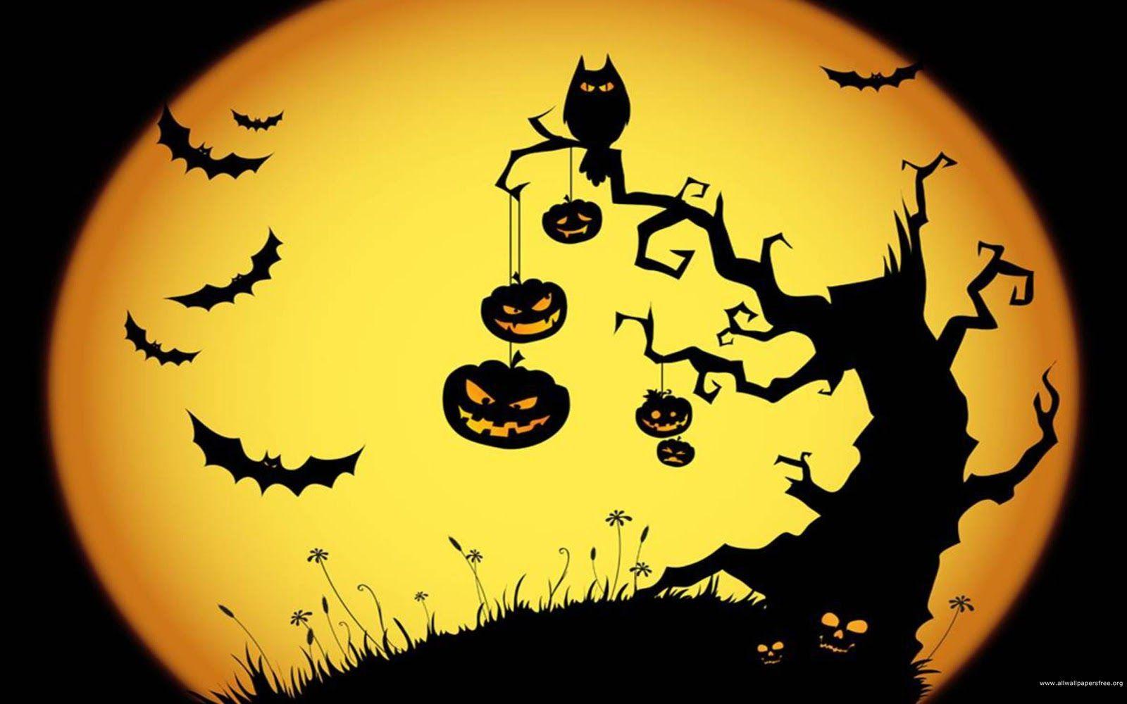 1600x1000 Halloween Owl Wallpaper