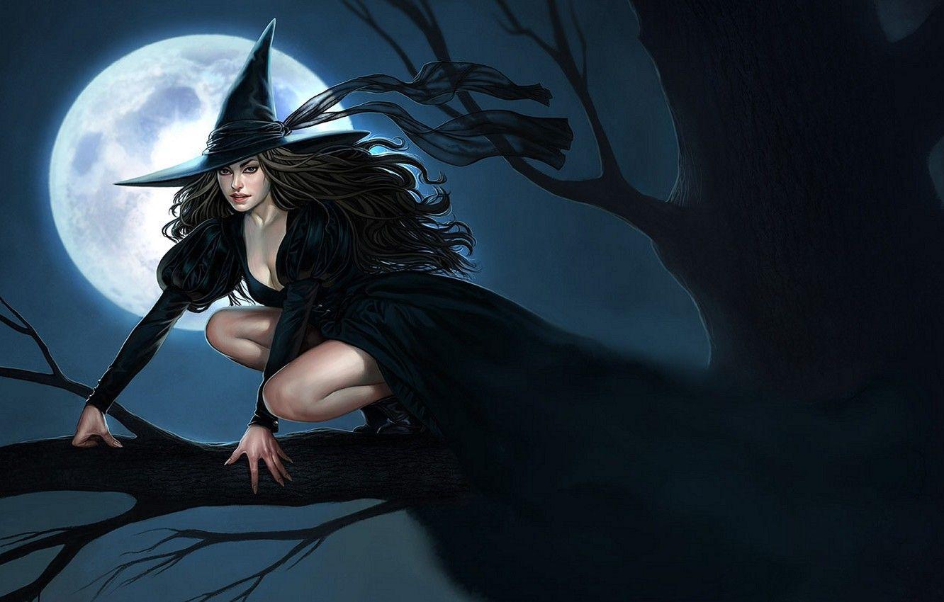 Halloween Witch Wallpapers Top Free Halloween Witch Backgrounds