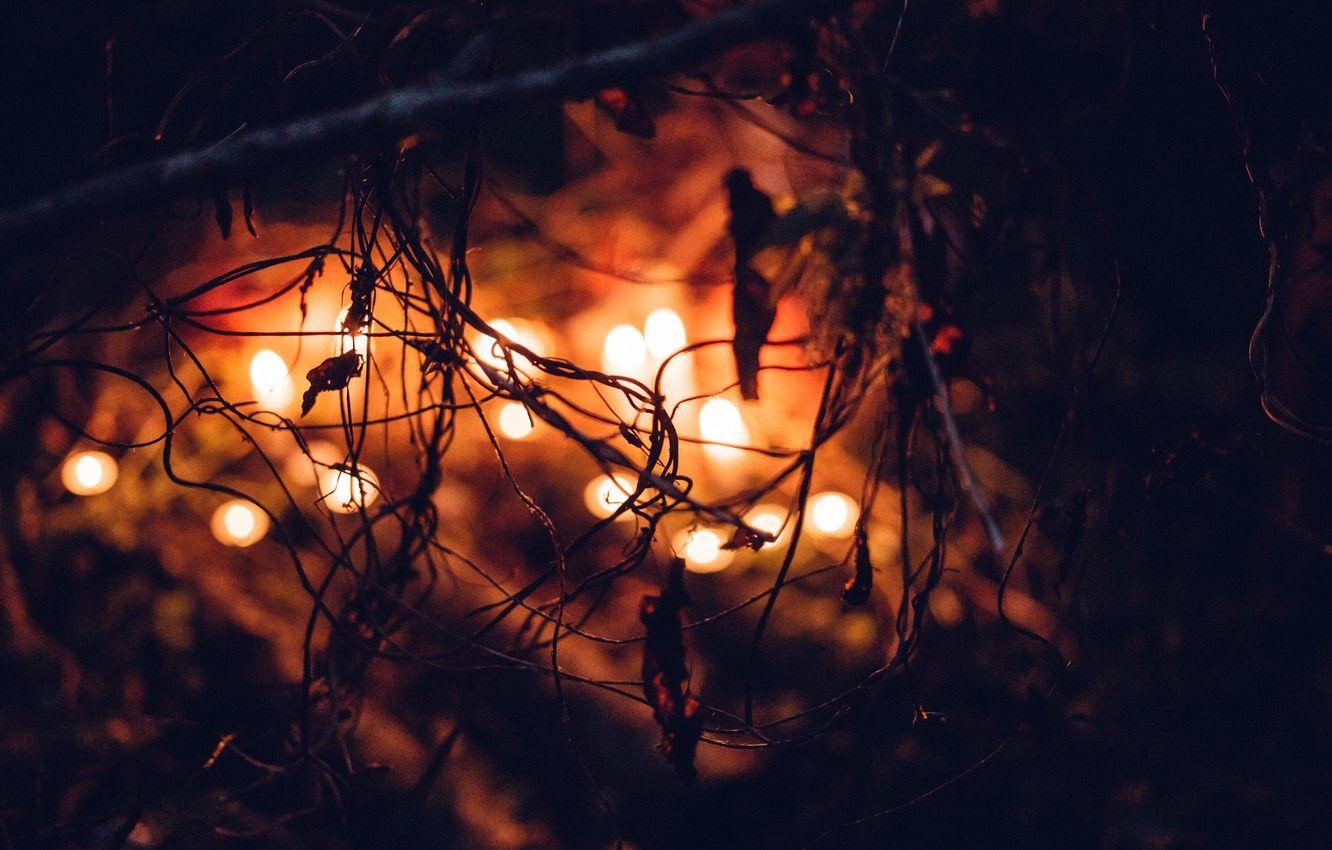 1332x850 Wallpaper Halloween, Light, Candle, October, Blur, Leaves