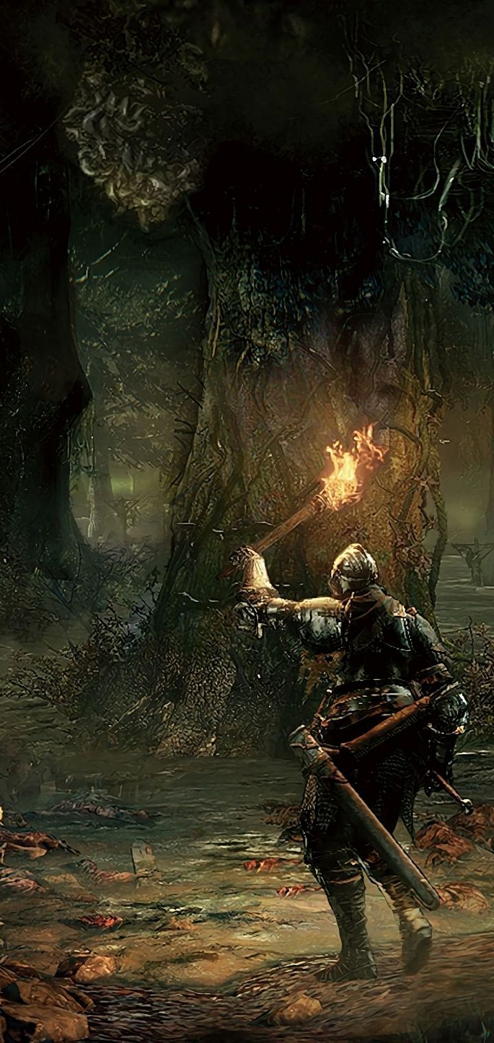 720x1520 Dark Souls III Phone Wallpaper