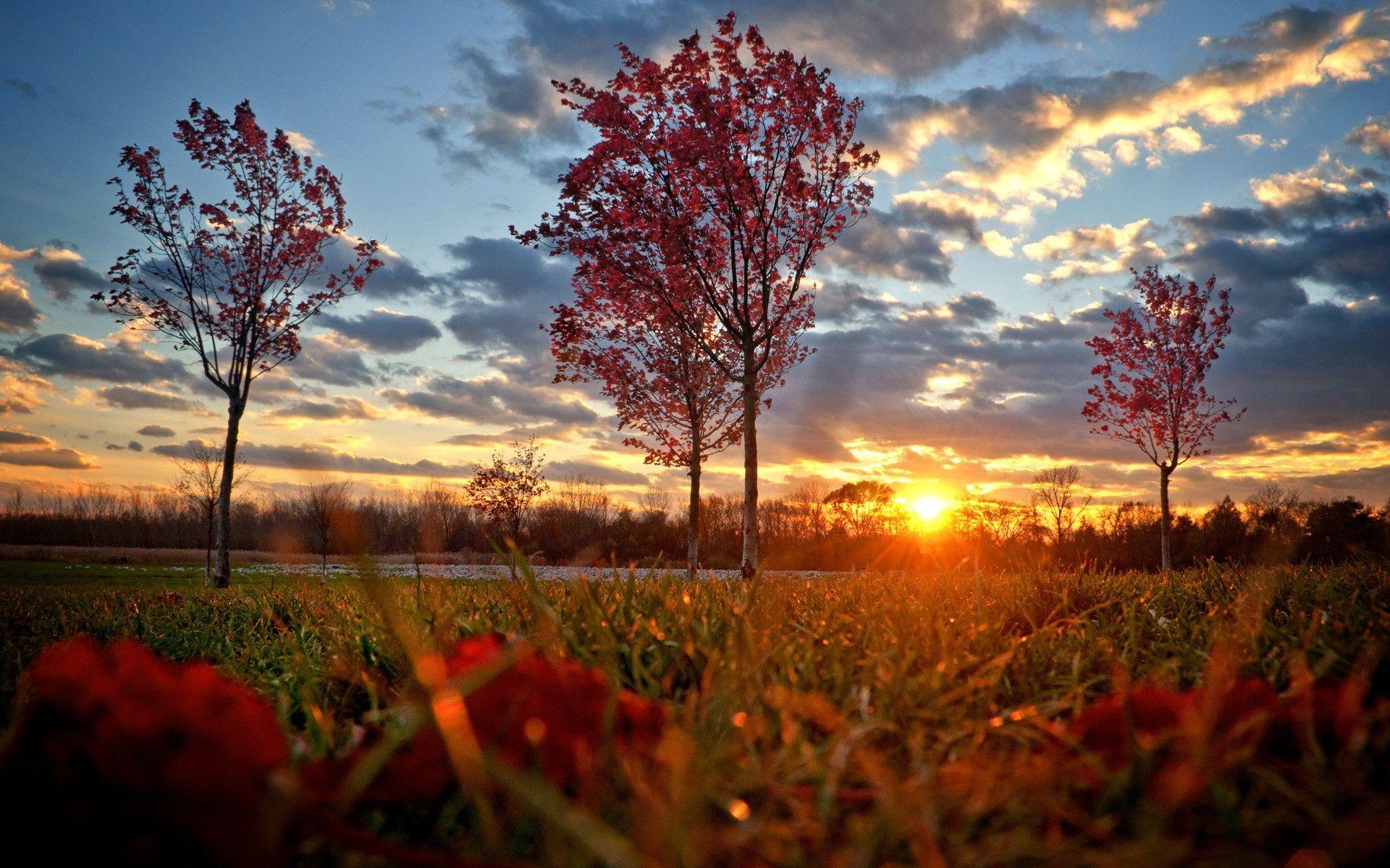 1920x1200 Most Beautiful Sunset Wallpaper
