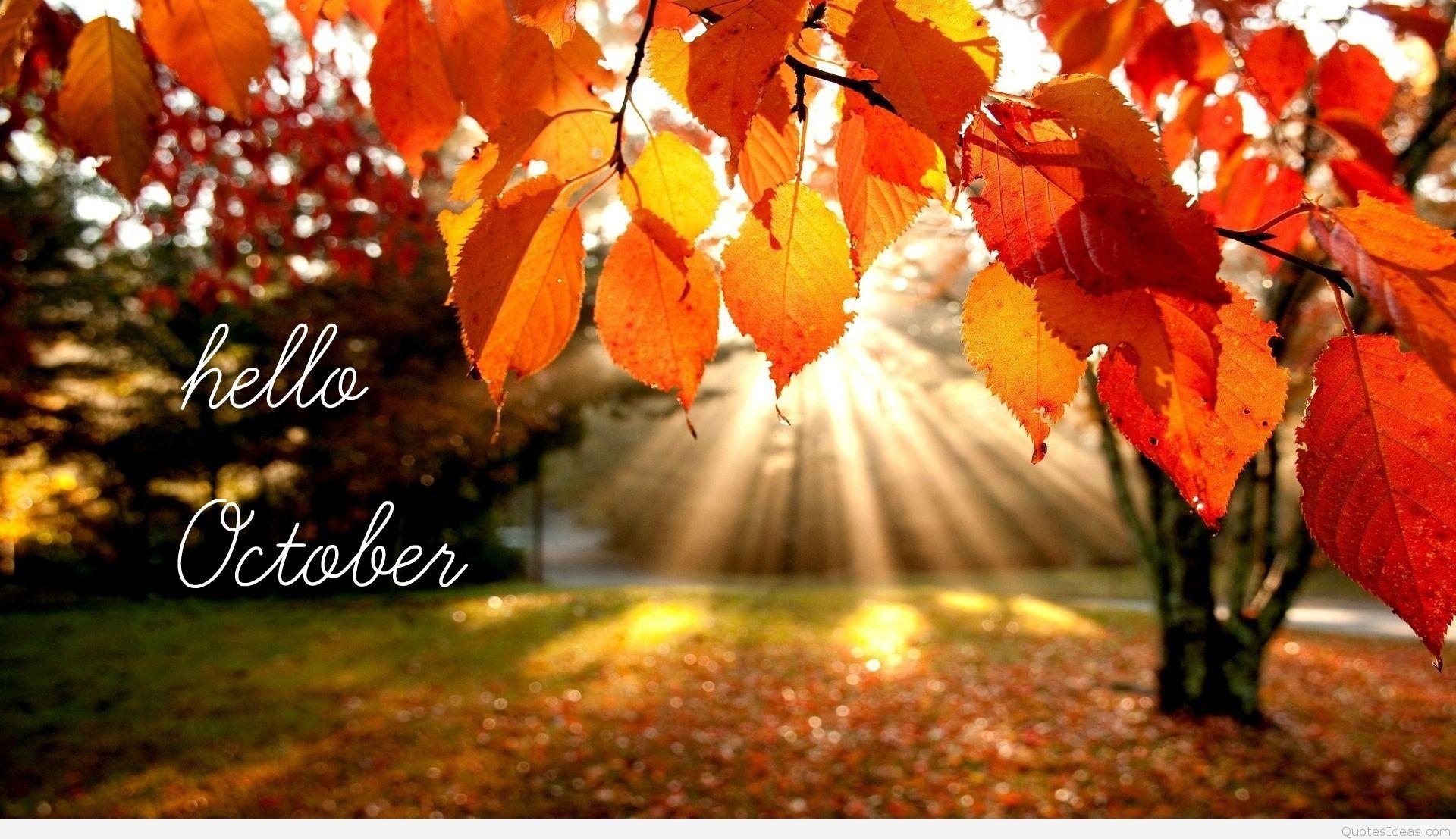 Hello October Wallpapers - Top Free Hello October Backgrounds - WallpaperAccess