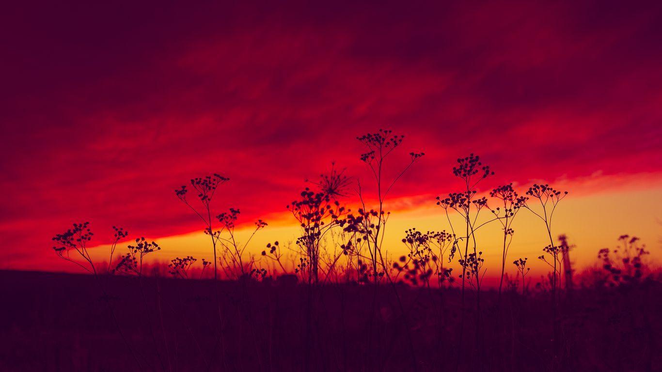 1366x768 Poland Sunset 5k 1366x768 Resolution HD 4k