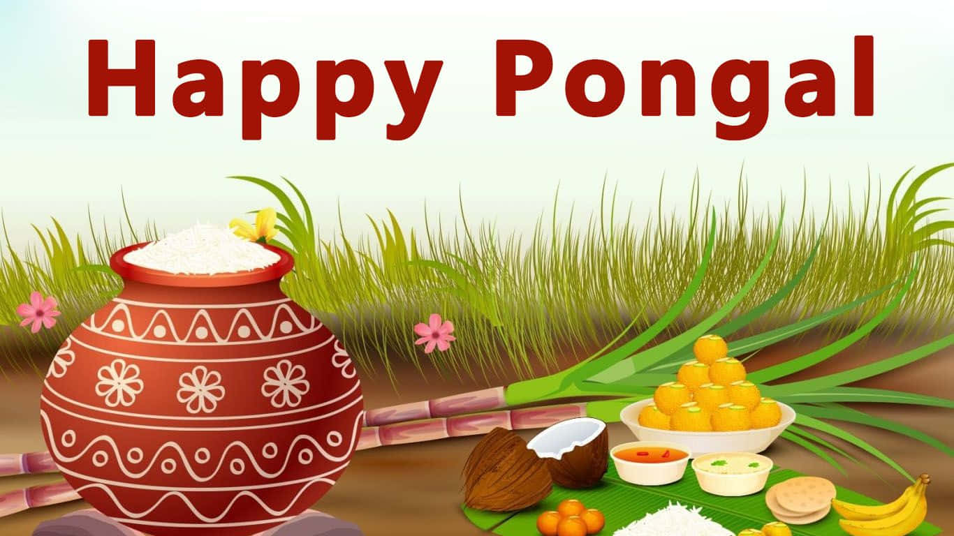 1366x768 Pongal celebrates the Harvest festival