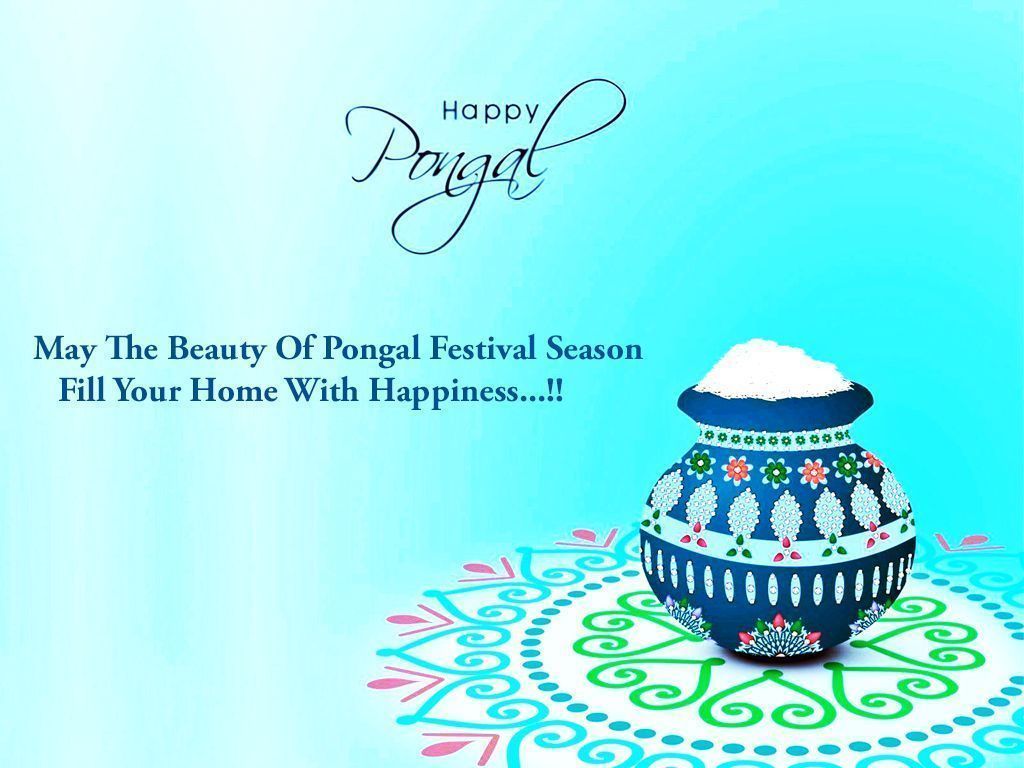 1024x768 Download Pongal WallPaper HD for Mobile