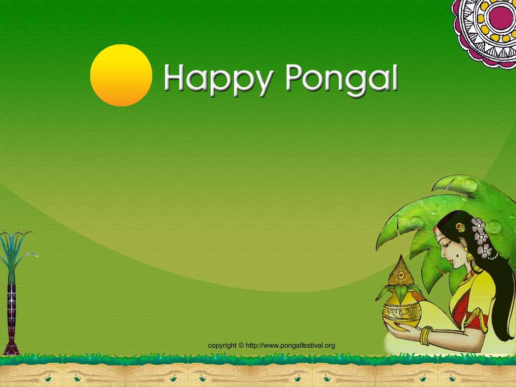 1024x768 AMITY INDIA: PONGAL FOUR DAY FESTIVAL