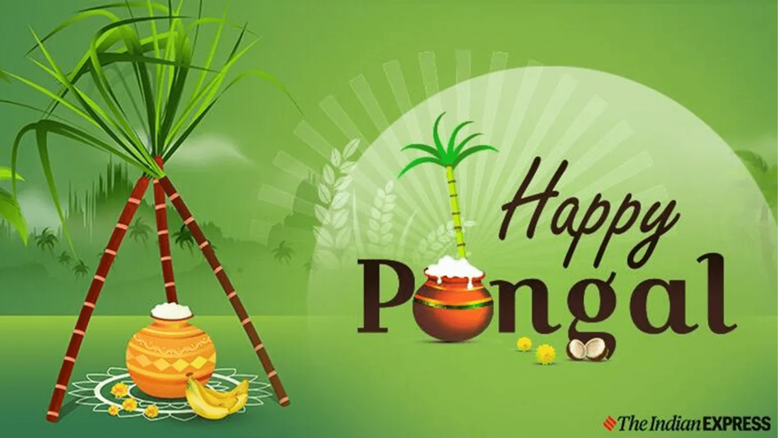 1600x900 Happy Pongal 2024: Share the Festive