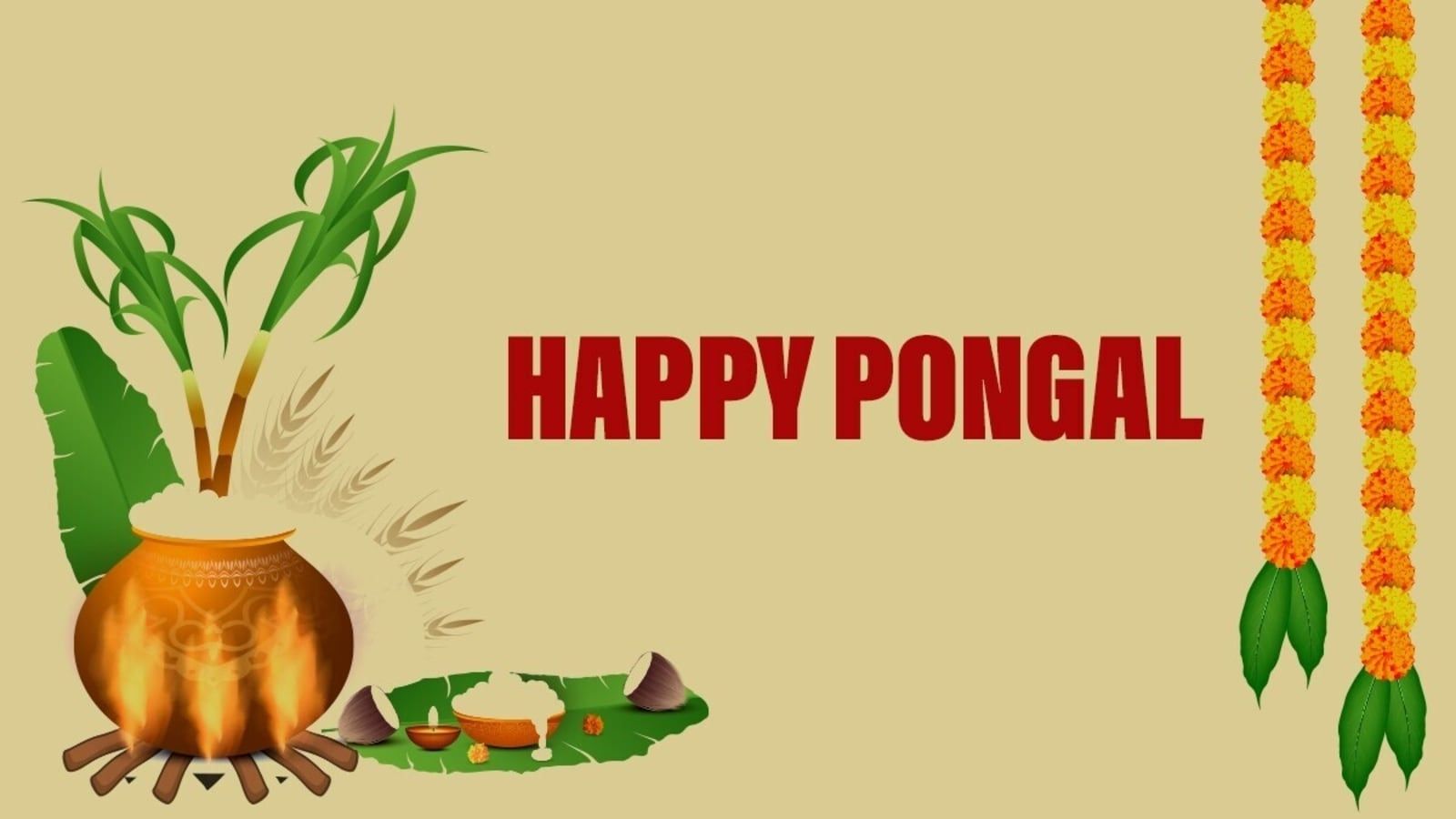 1600x900 Happy Pongal 2024: Wishes, image, SMS