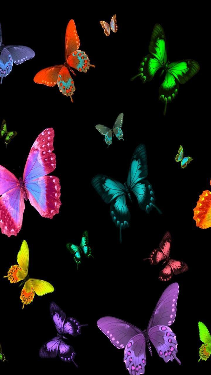 Butterfly Phone Wallpapers Top Free Butterfly Phone Backgrounds