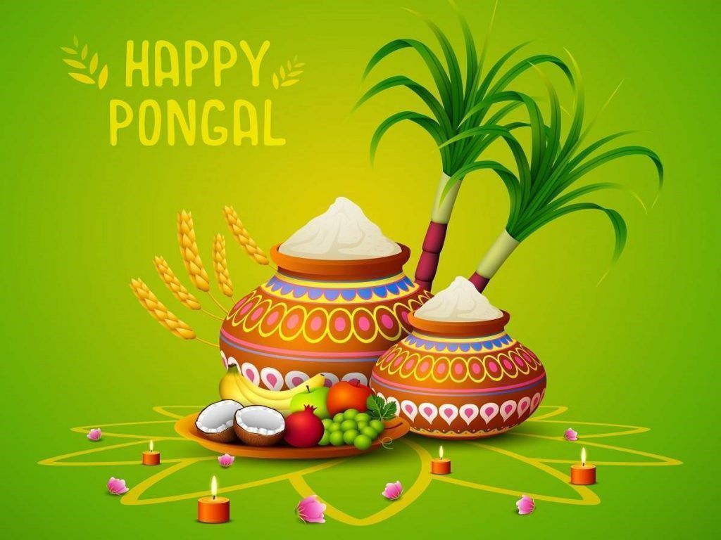 1024x768 Pongal