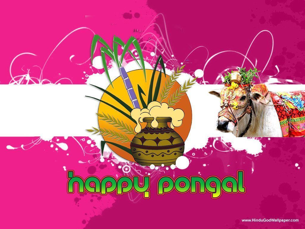 1024x768 Pongal Greetings Wallpaper with Wishes