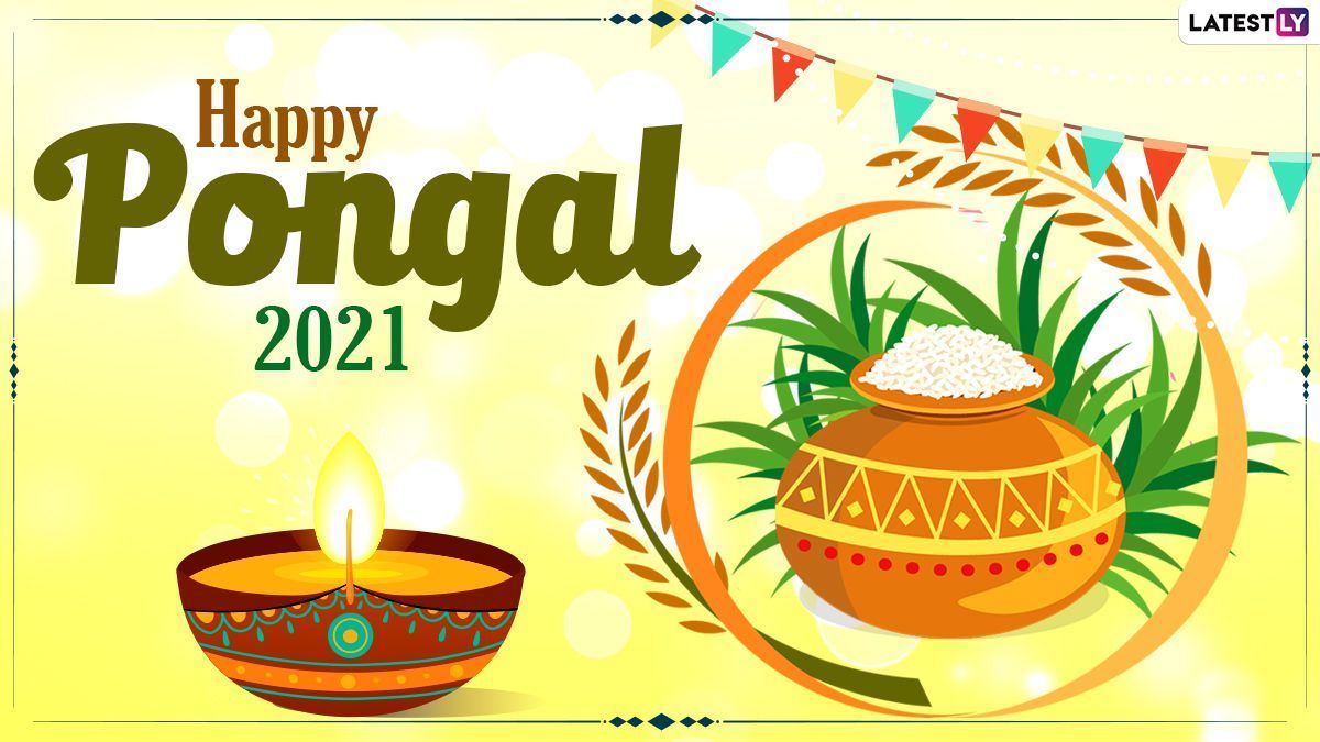 1200x675 Happy Pongal 2021 Wishes: WhatsApp