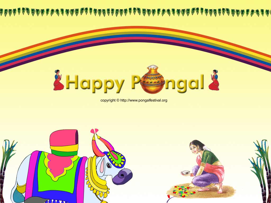 1024x768 Pongal Festival Wallpaper