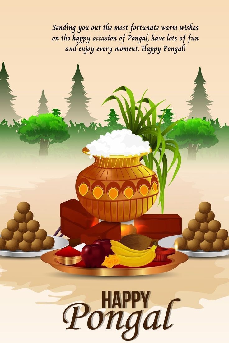 736x1104 Happy pongal, Happy pongal wishes