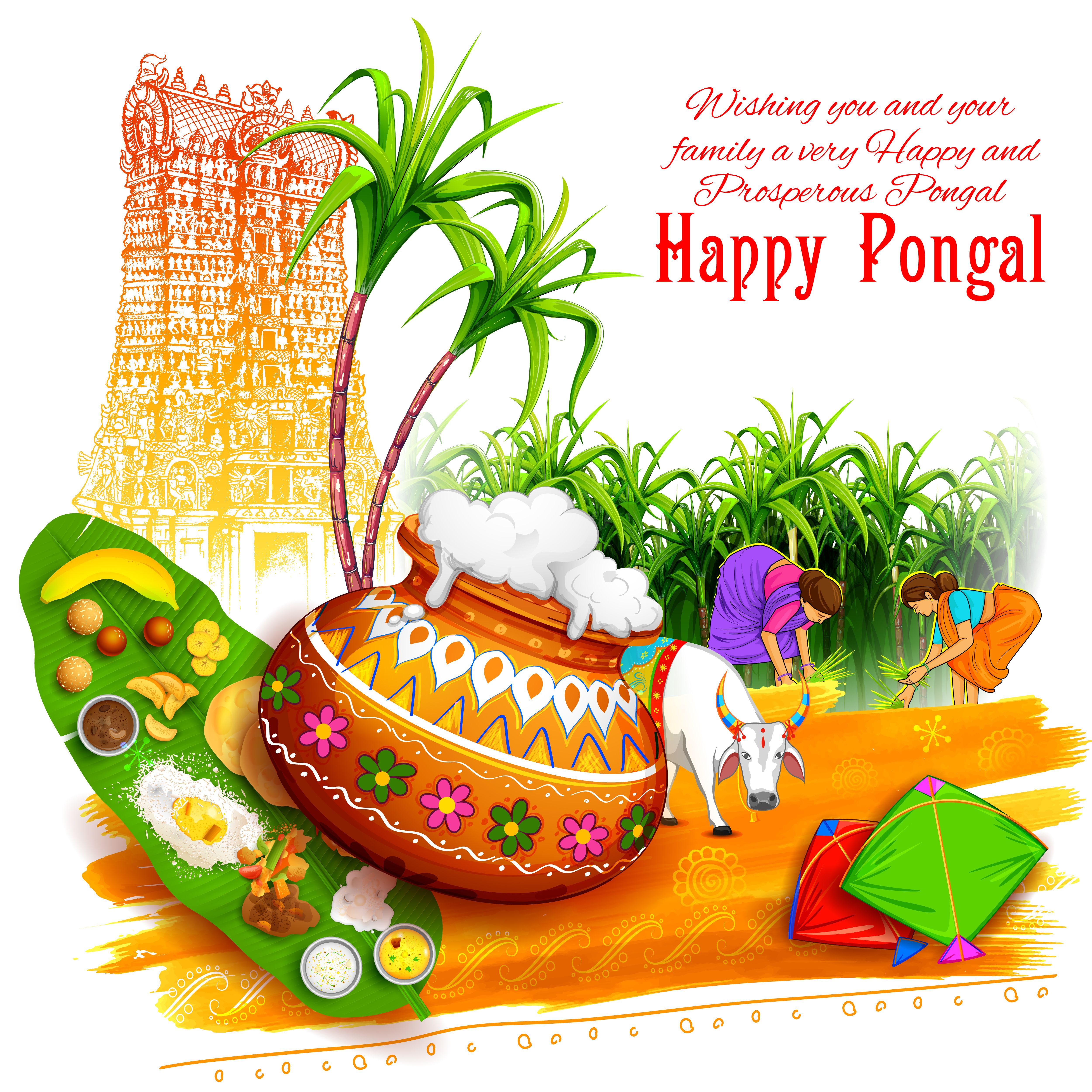 5000x5000 Happy Pongal 2022: Wishes, Image