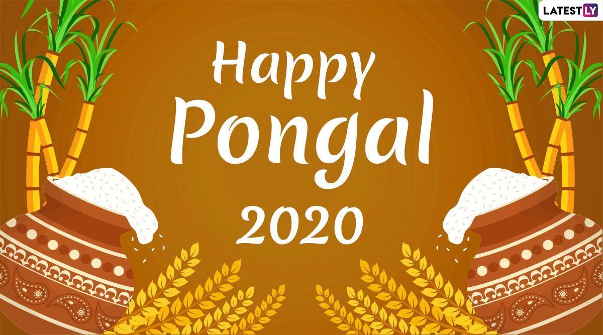 1200x667 Happy Thai Pongal 2020 Image and HD