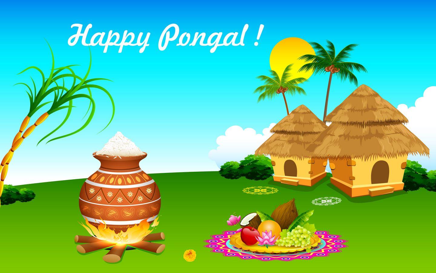 1440x900 Happy Pongal Festival 2018 Wishes