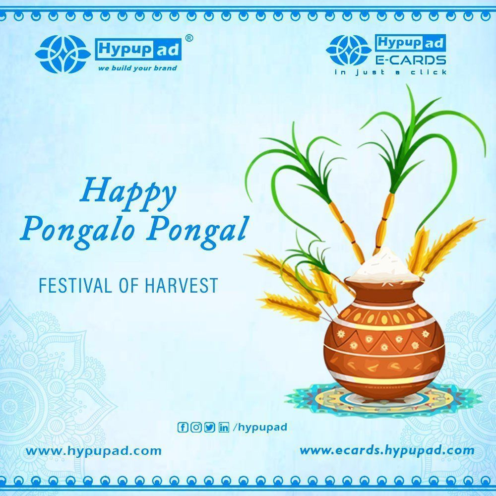 1000x1000 Say Pongalo pongal✨ #hypupad wishes