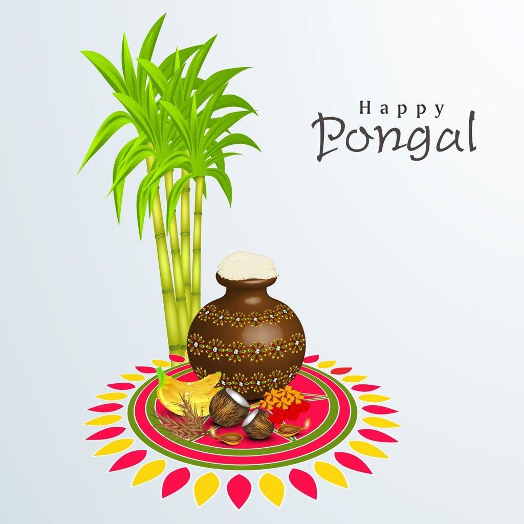 1024x1024 Happy Pongal Festival Wishes Greetings