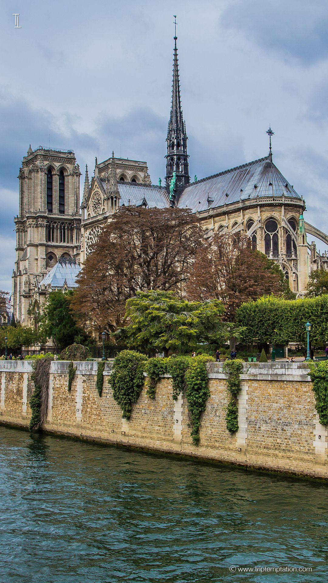 1080x1920 Download Notre Dame De Paris IPhone 6 Plus