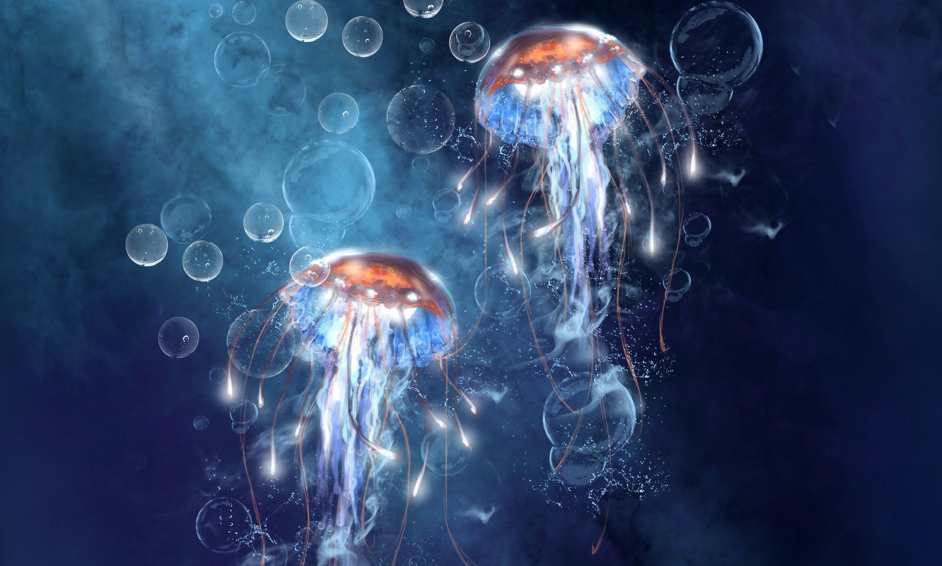 Jellyfish Wallpapers Top Free Jellyfish Backgrounds WallpaperAccess