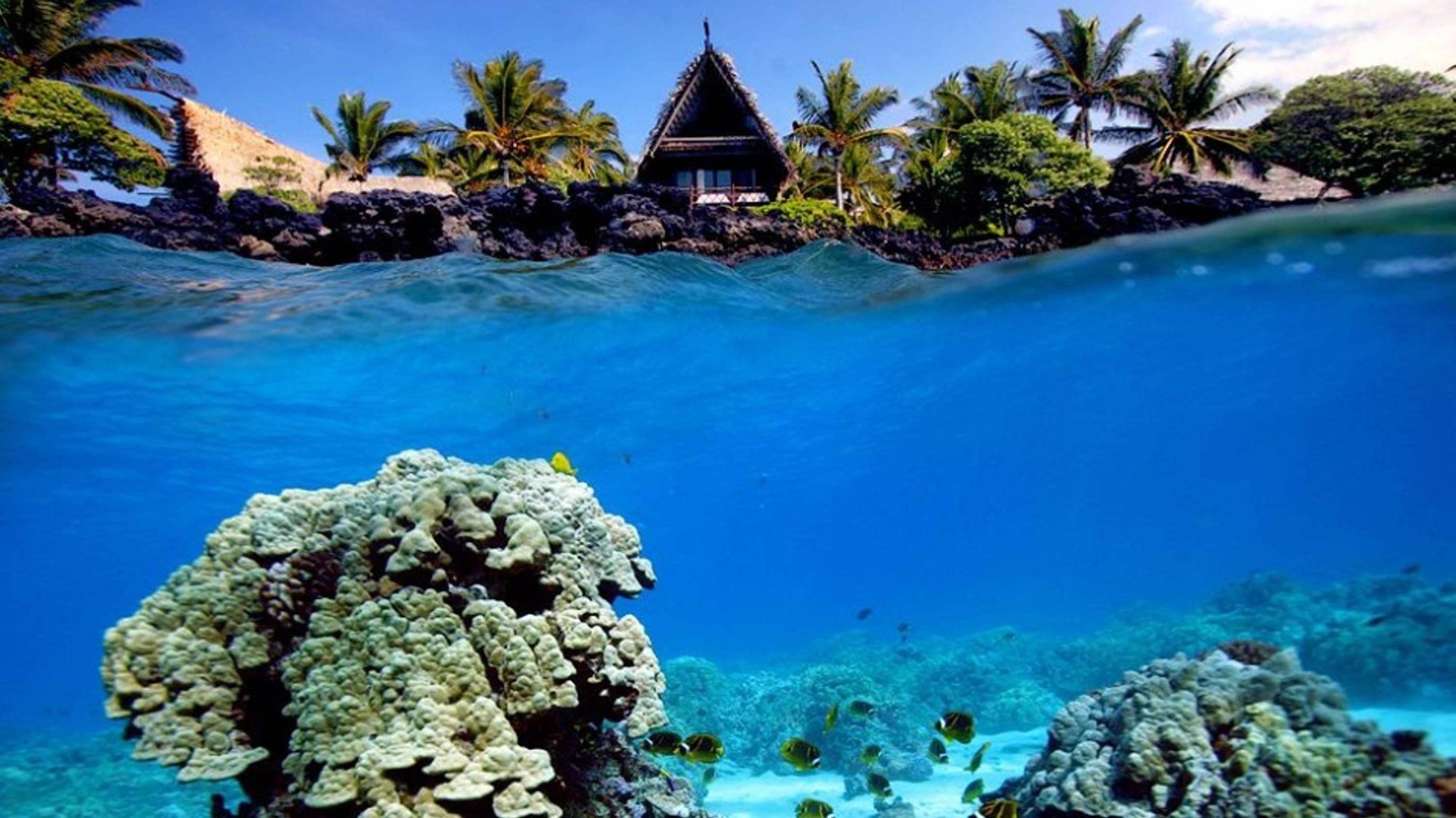 3000x1686 Coral Reef Wallpaper HD