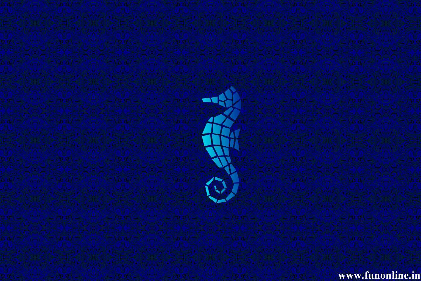 1440x960 Free download Seahorse Wallpaper Download Cute Water