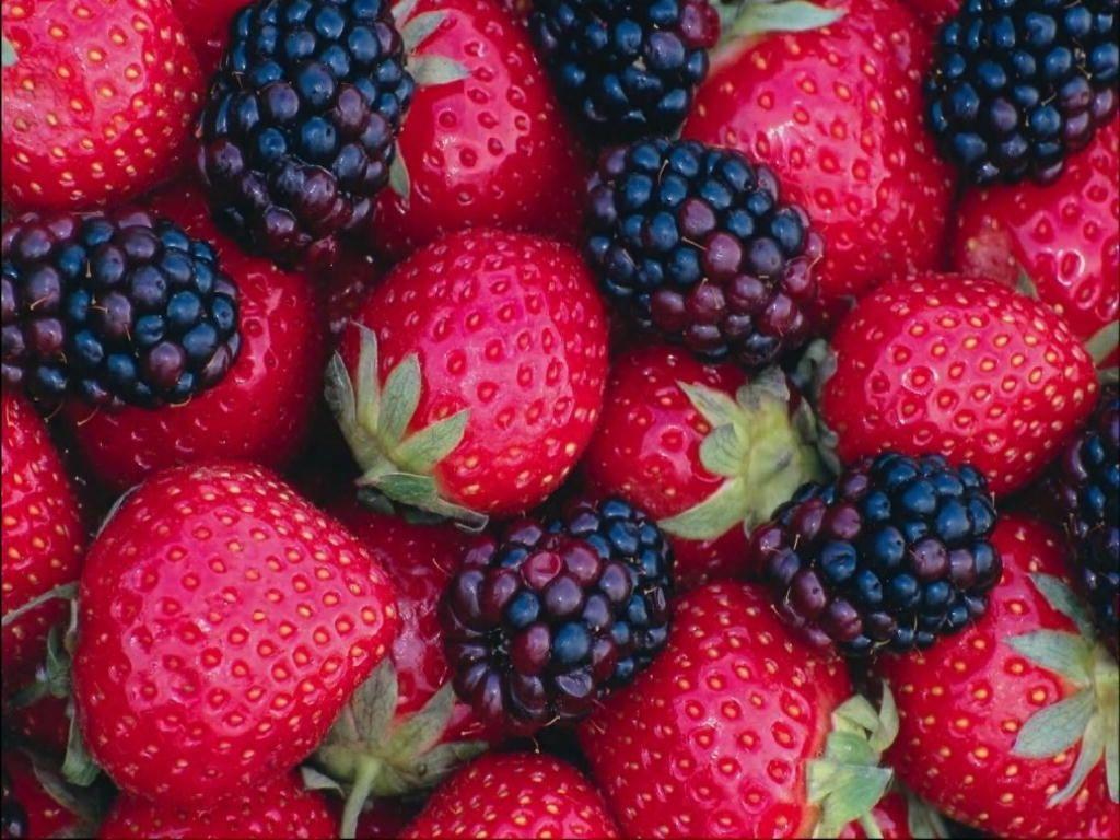 1024x768 Wallpaper with Fruit