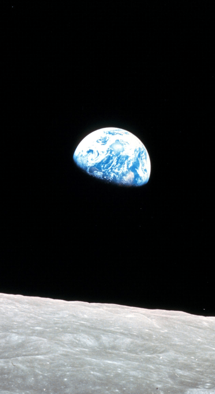 700x1280 Phone Wallpaper From Space Apes In Space