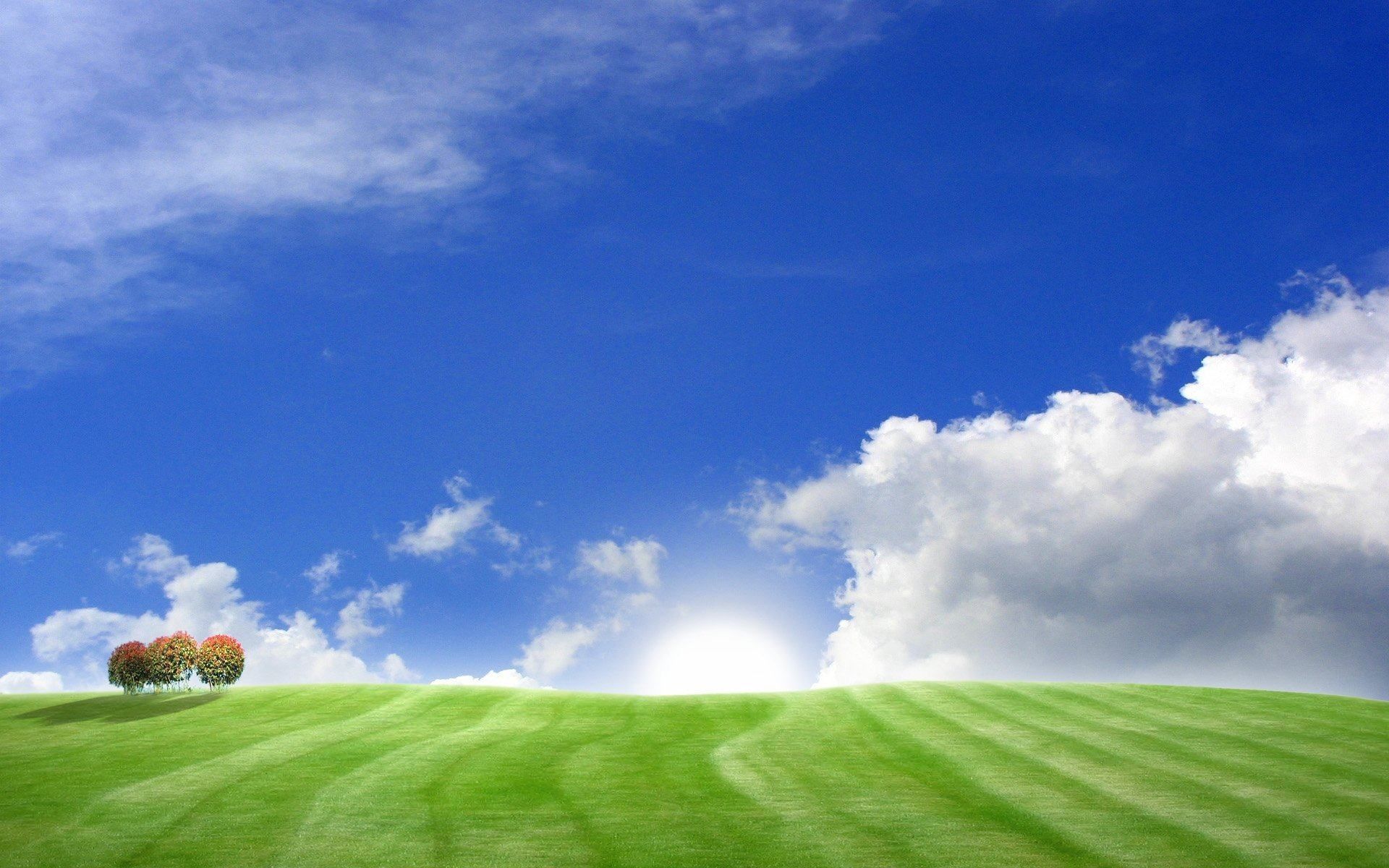 1920x1200 Late Winter Early Spring Wallpaper