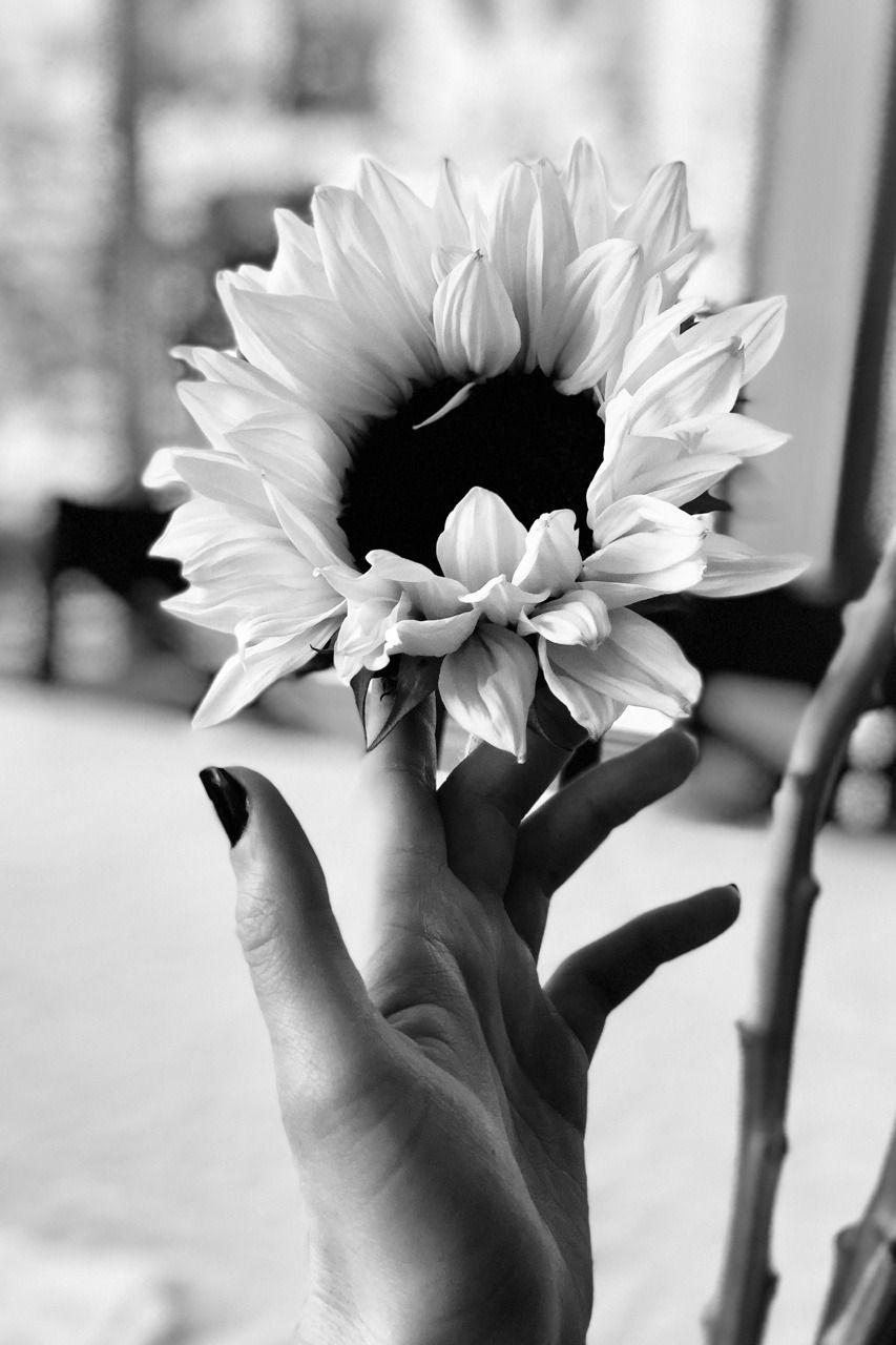 Featured image of post Aesthetic Pictures Black And White Flowers