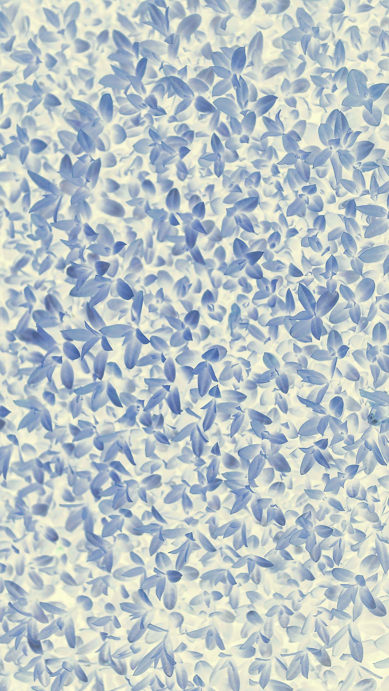 1242x2208 Nature Blue White Leaf Grass Garden .