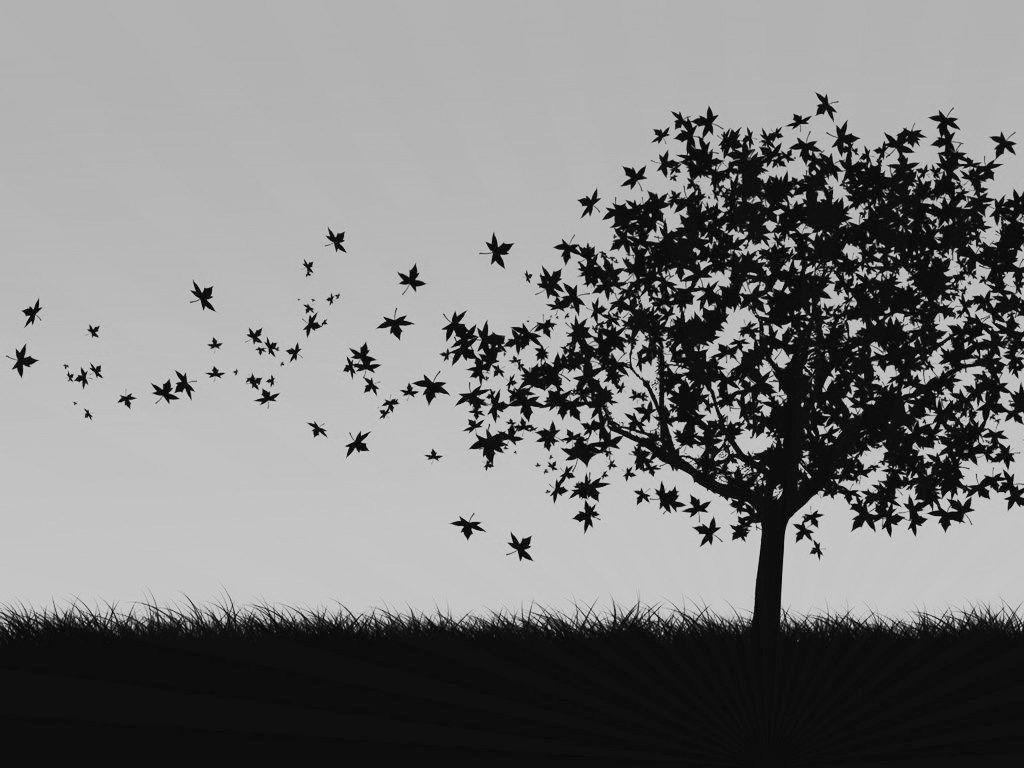 Black and White Tree Wallpapers - Top Free Black and White Tree Backgrounds - WallpaperAccess